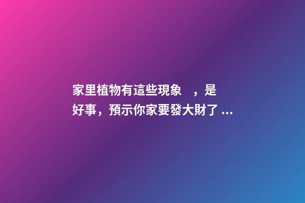 家里植物有這些現象，是好事，預示你家要發大財了！